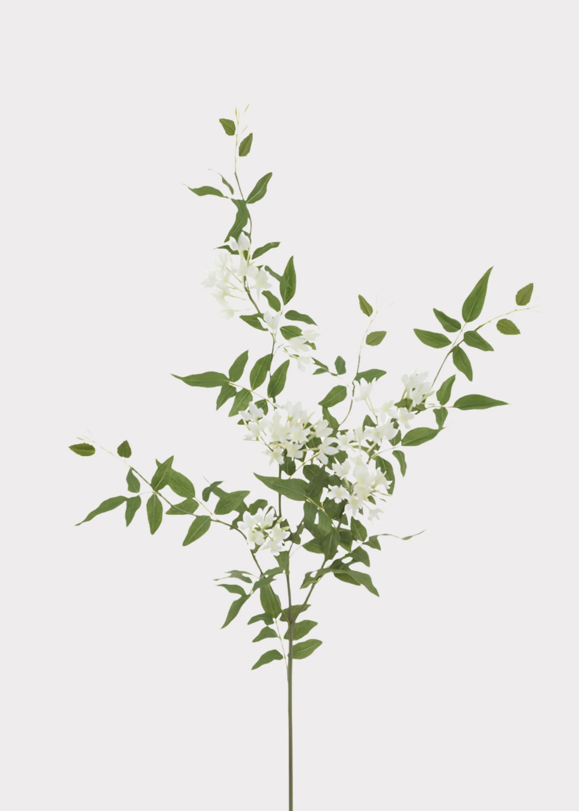 Tropical Fake Stephanotis Blooming Flower Branch in White - 43"