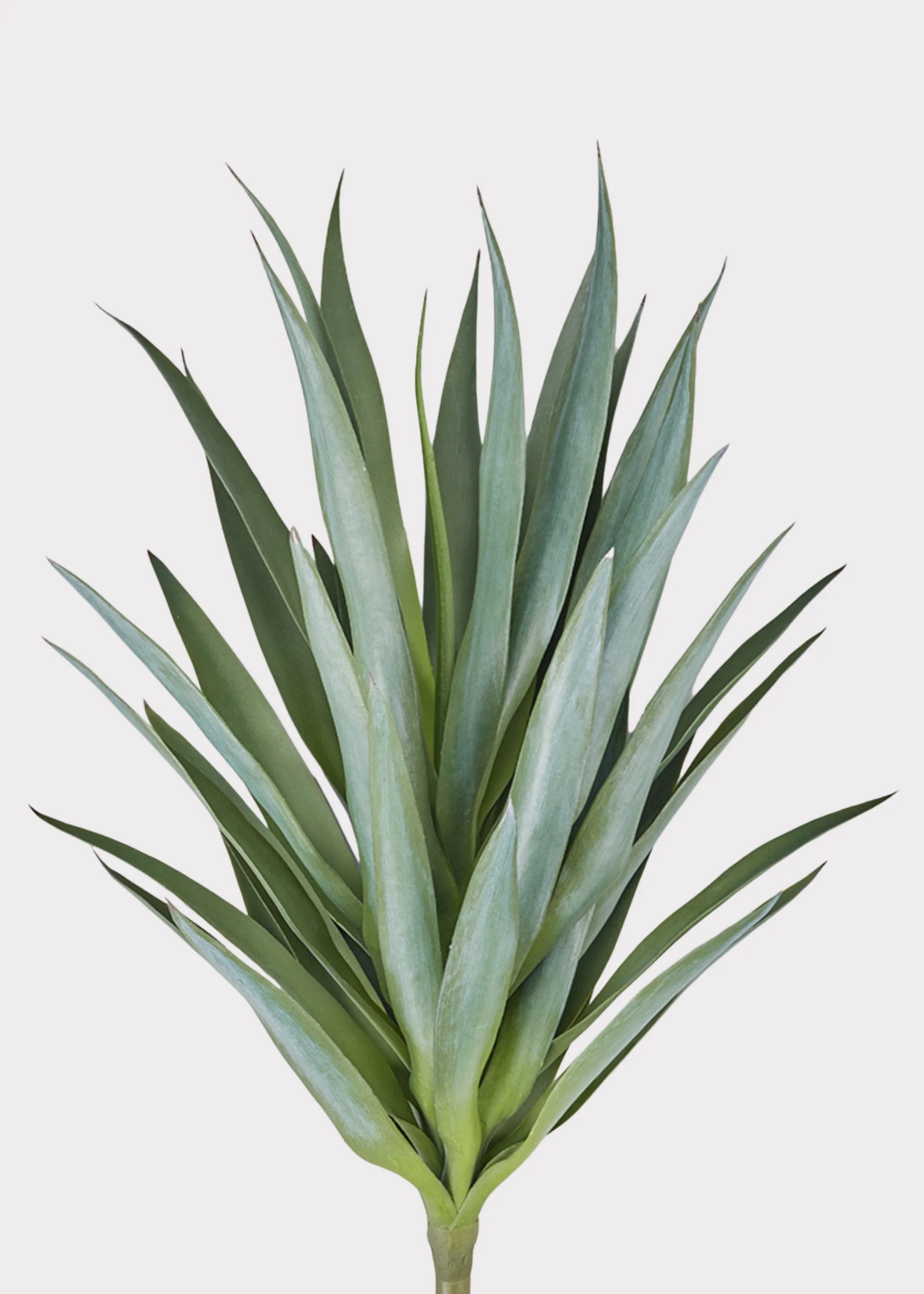 SAVE - UV Resistant Artificial Outdoor Yucca Plant - 27" - Image 5