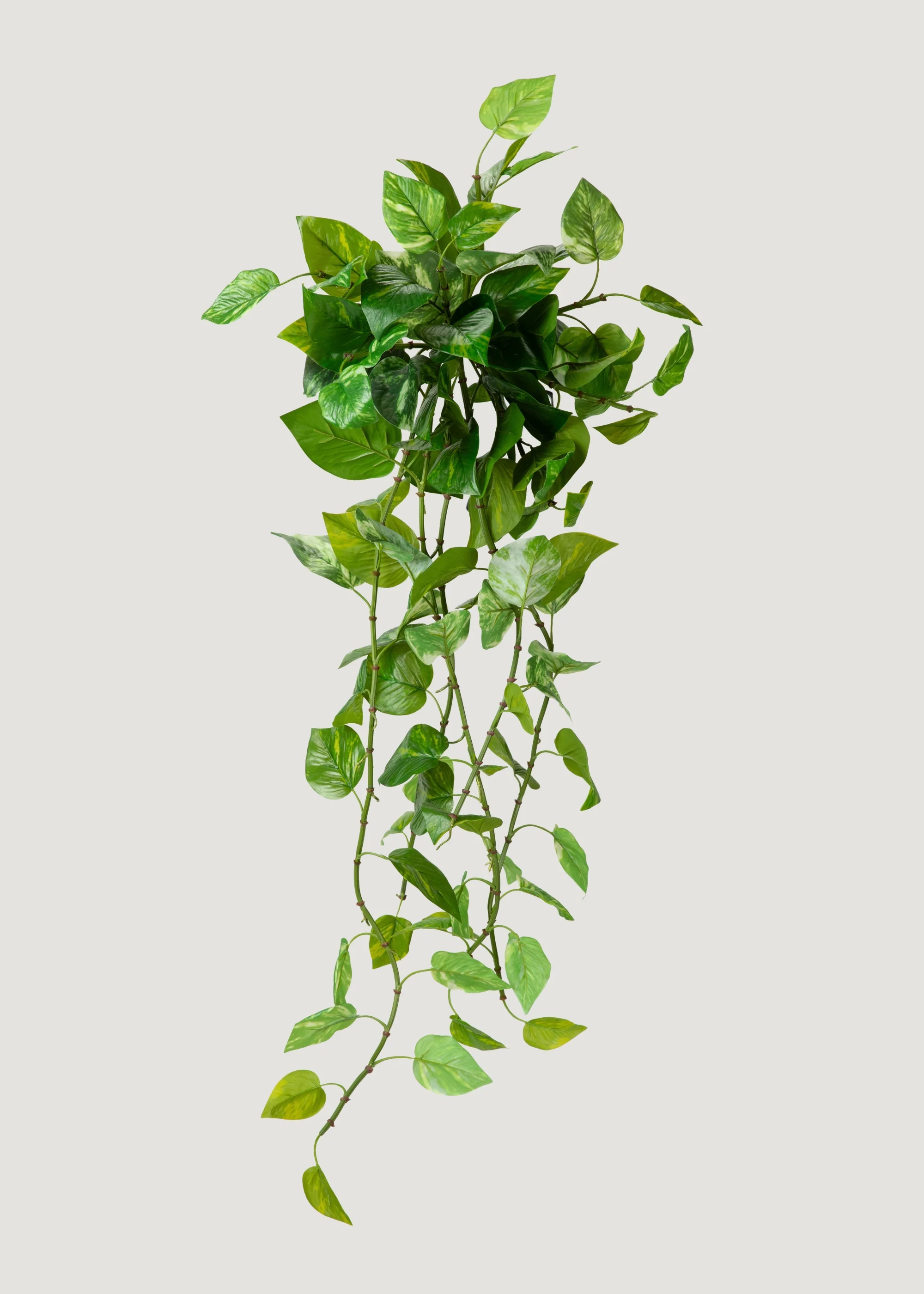 UV Treated Pothos Indoor/Outdoor Natural Touch Hanging Plant - 42" - Image 2