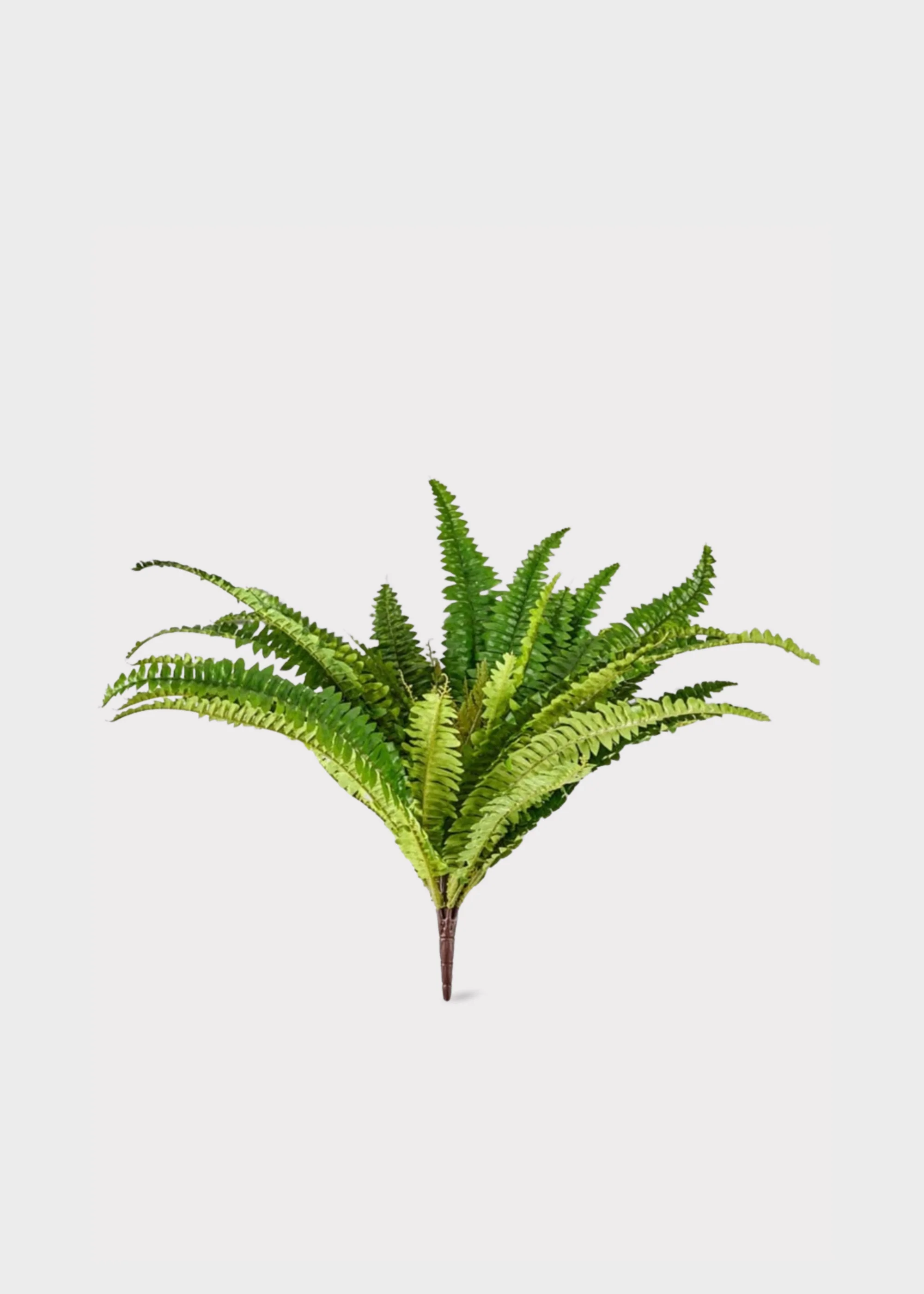 UV Resistant Indoor/Outdoor Fake Boston Fern Plant - 23" - Image 3