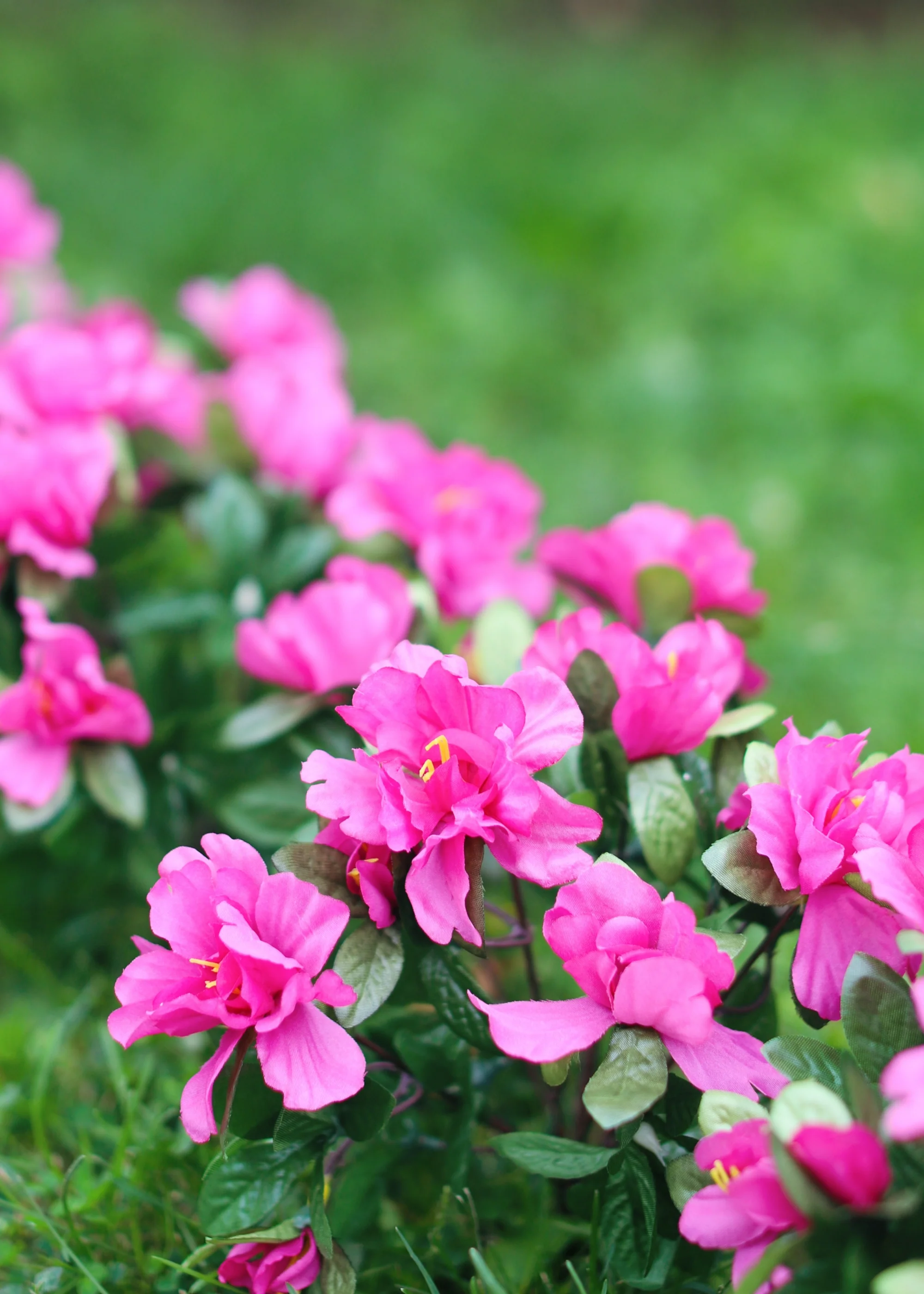 UV Treated Indoor/Outdoor Fake Azalea Hanging Bush - 24" - Image 5