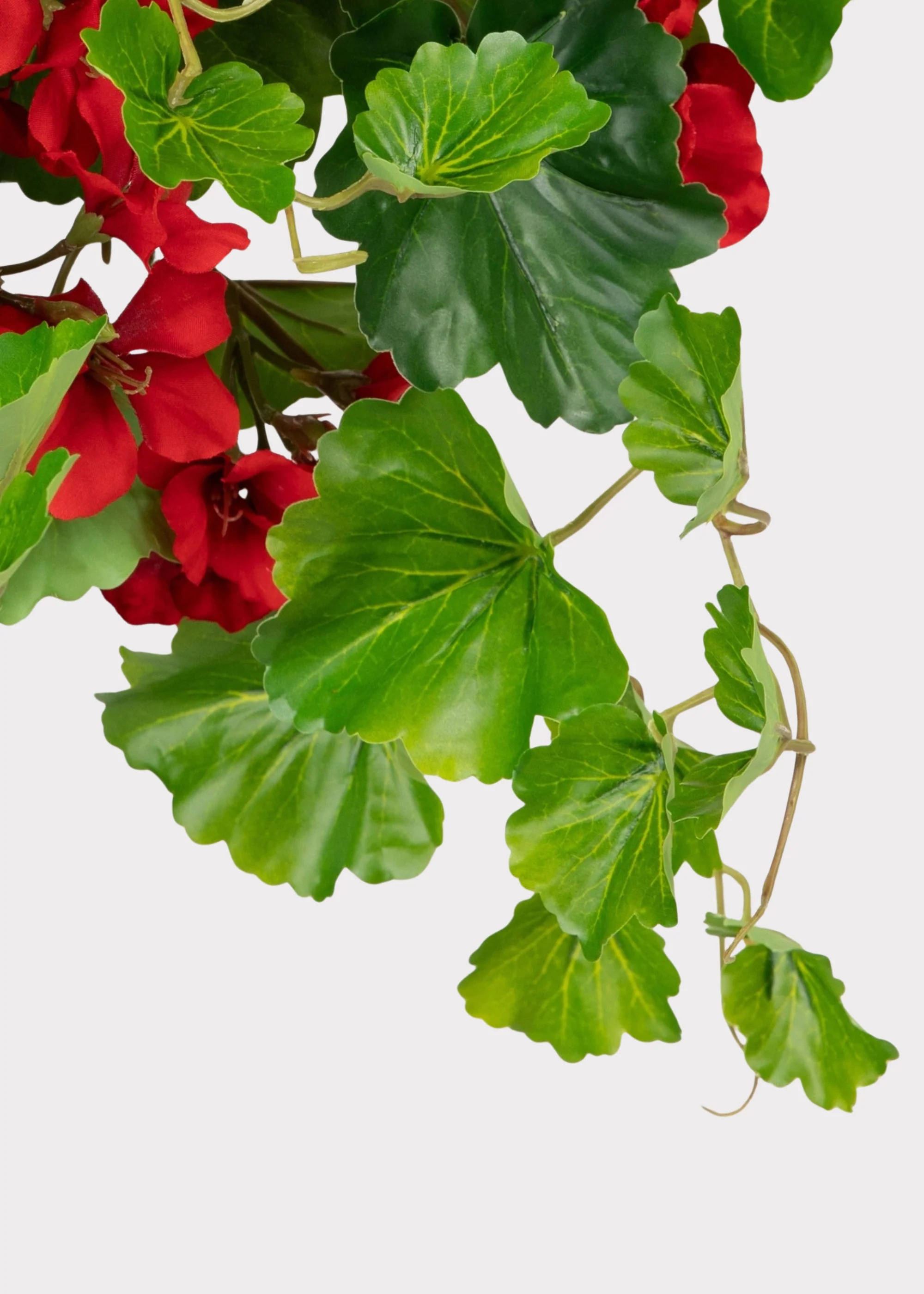 UV Treated Indoor/Outdoor Fake Geranium Hanging Bush - 24" - Image 4