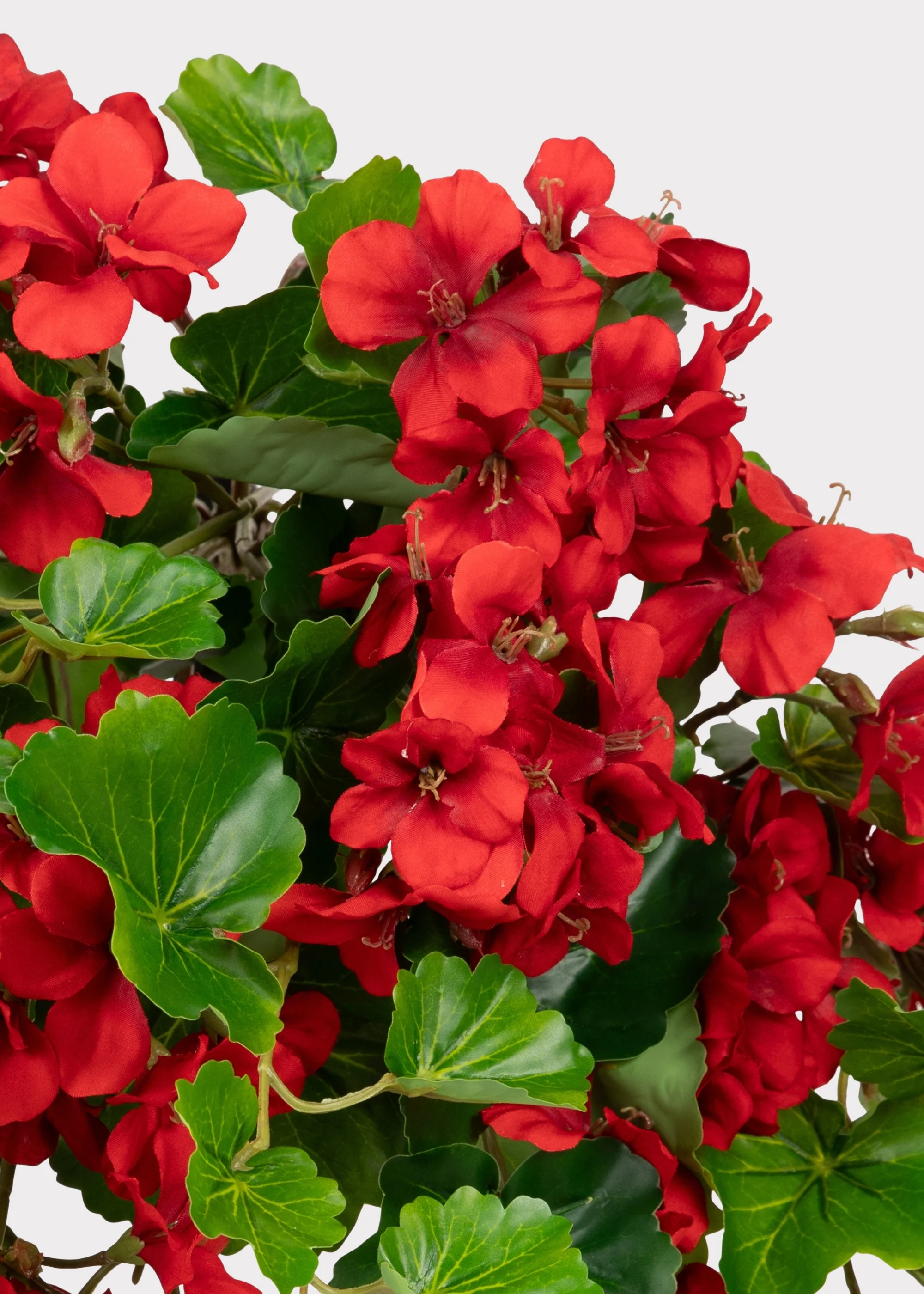UV Treated Indoor/Outdoor Fake Geranium Hanging Bush - 24" - Image 5
