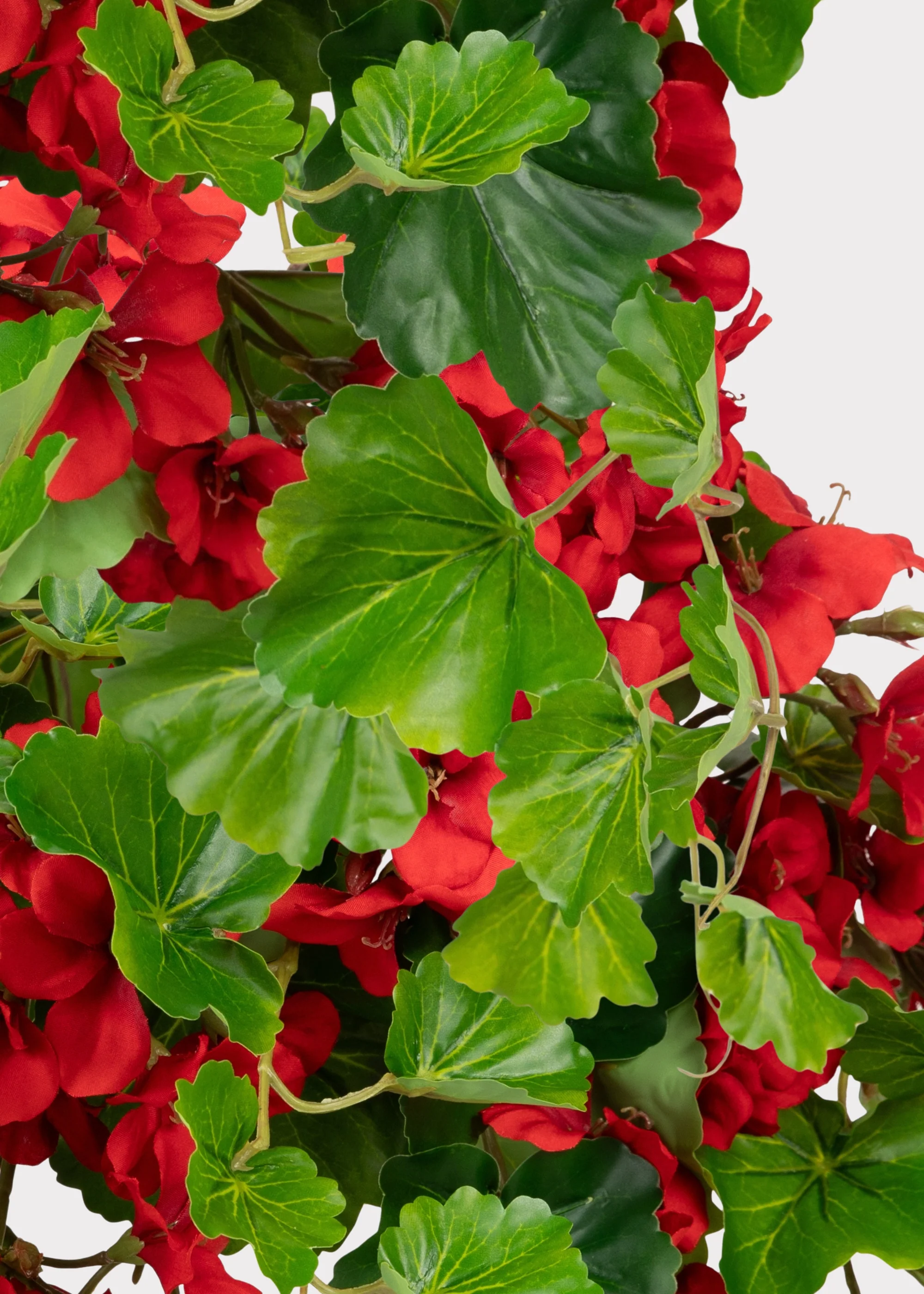UV Treated Indoor/Outdoor Fake Geranium Hanging Bush - 24" - Image 6