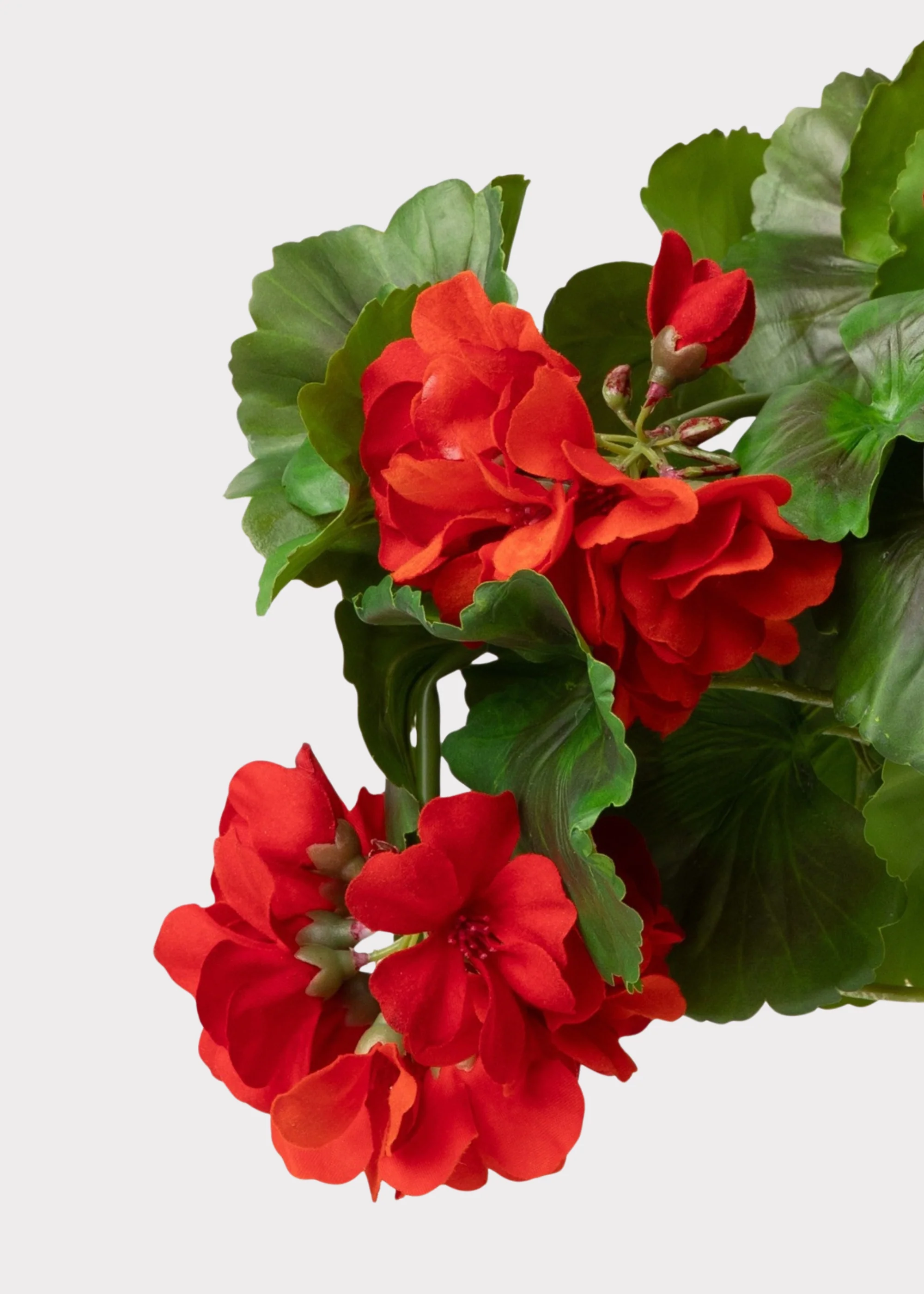 UV Resistant Indoor/Outdoor Natural Touch Geranium Pick - 17" - Image 4
