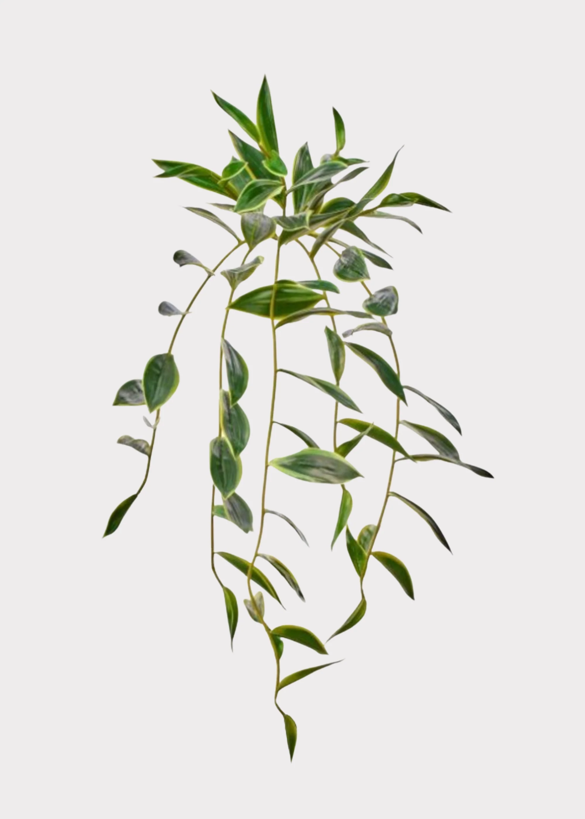 UV Treated Indoor/Outdoor Natural Touch Hanging Bamboo Plant - 31"