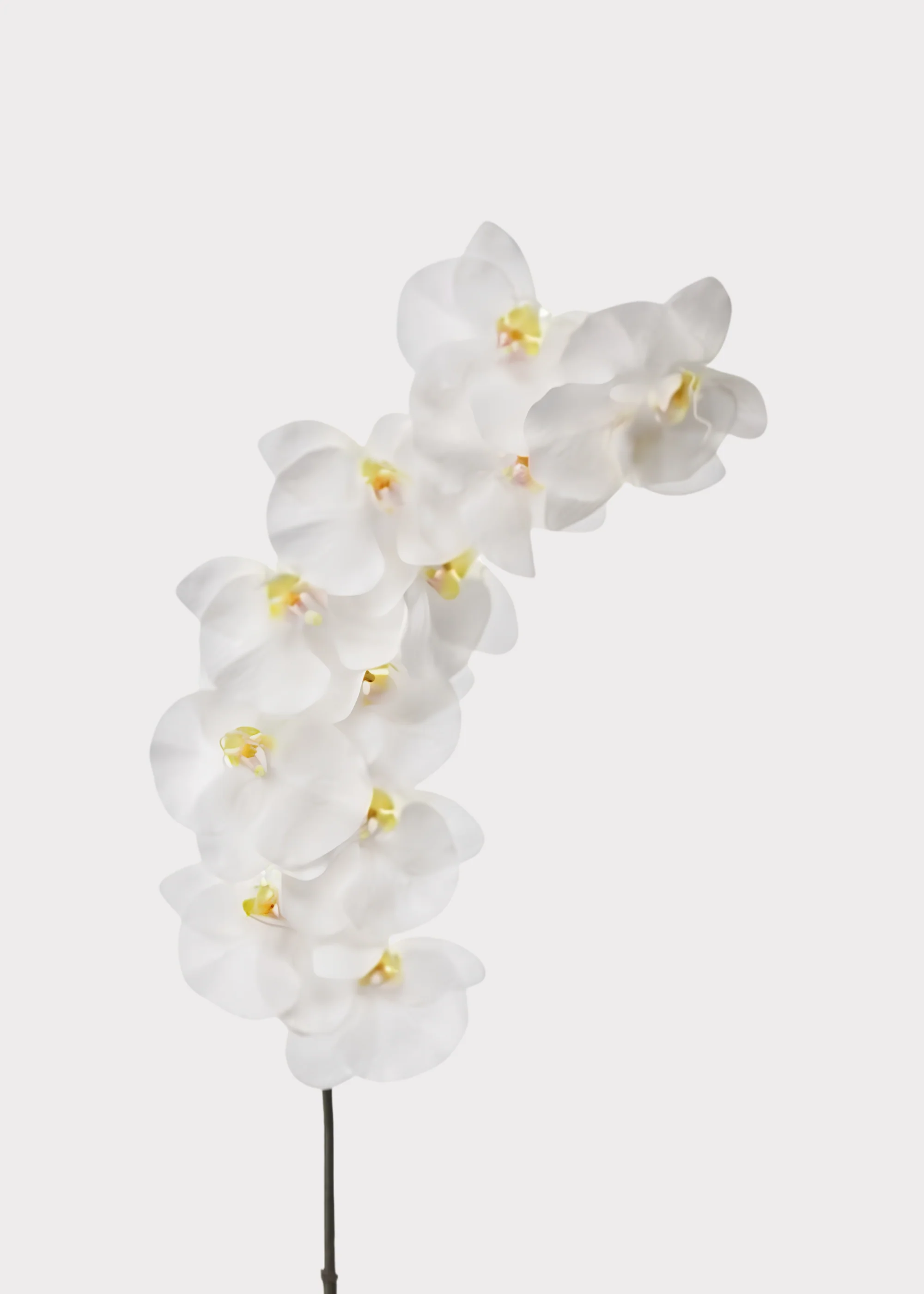 UV Treated Indoor/Outdoor Real Touch Orchid Flower in White - 43"