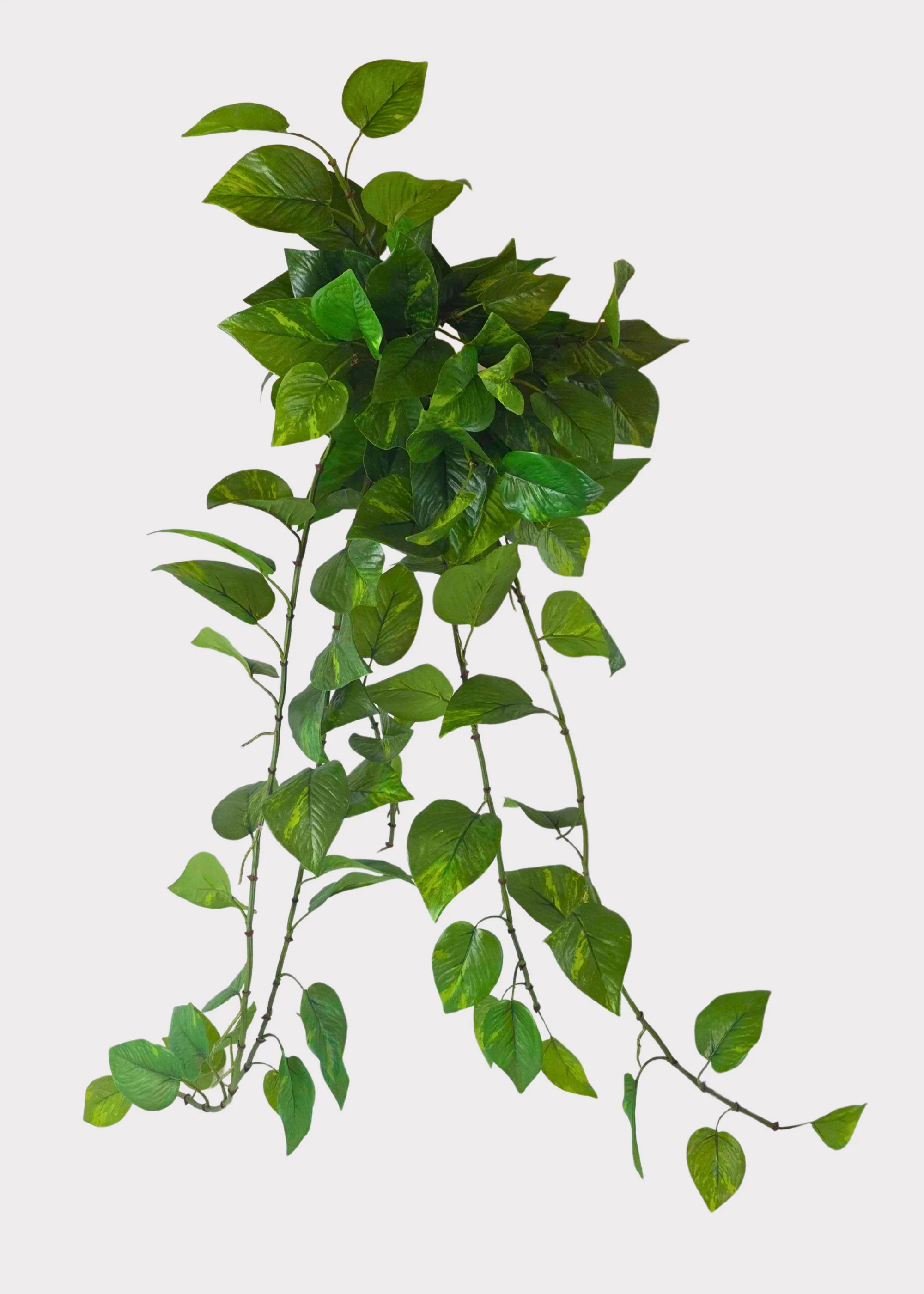 UV Treated Natural Touch Hanging Pothos Indoor/Outdoor Plant - 36"