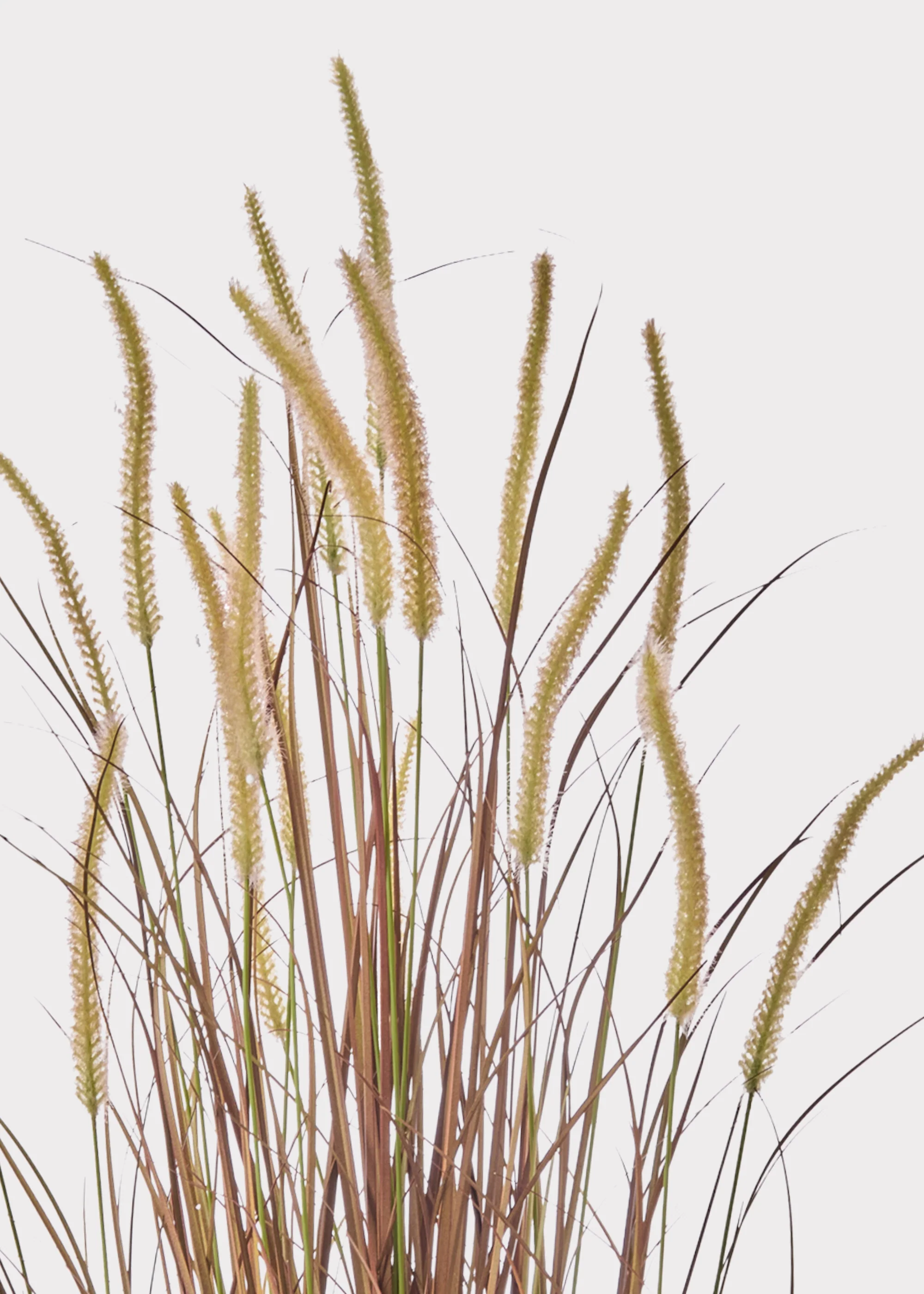 UV Treated Outdoor Fake Autumn Brown Grass Potted Plant - 48" - Image 2