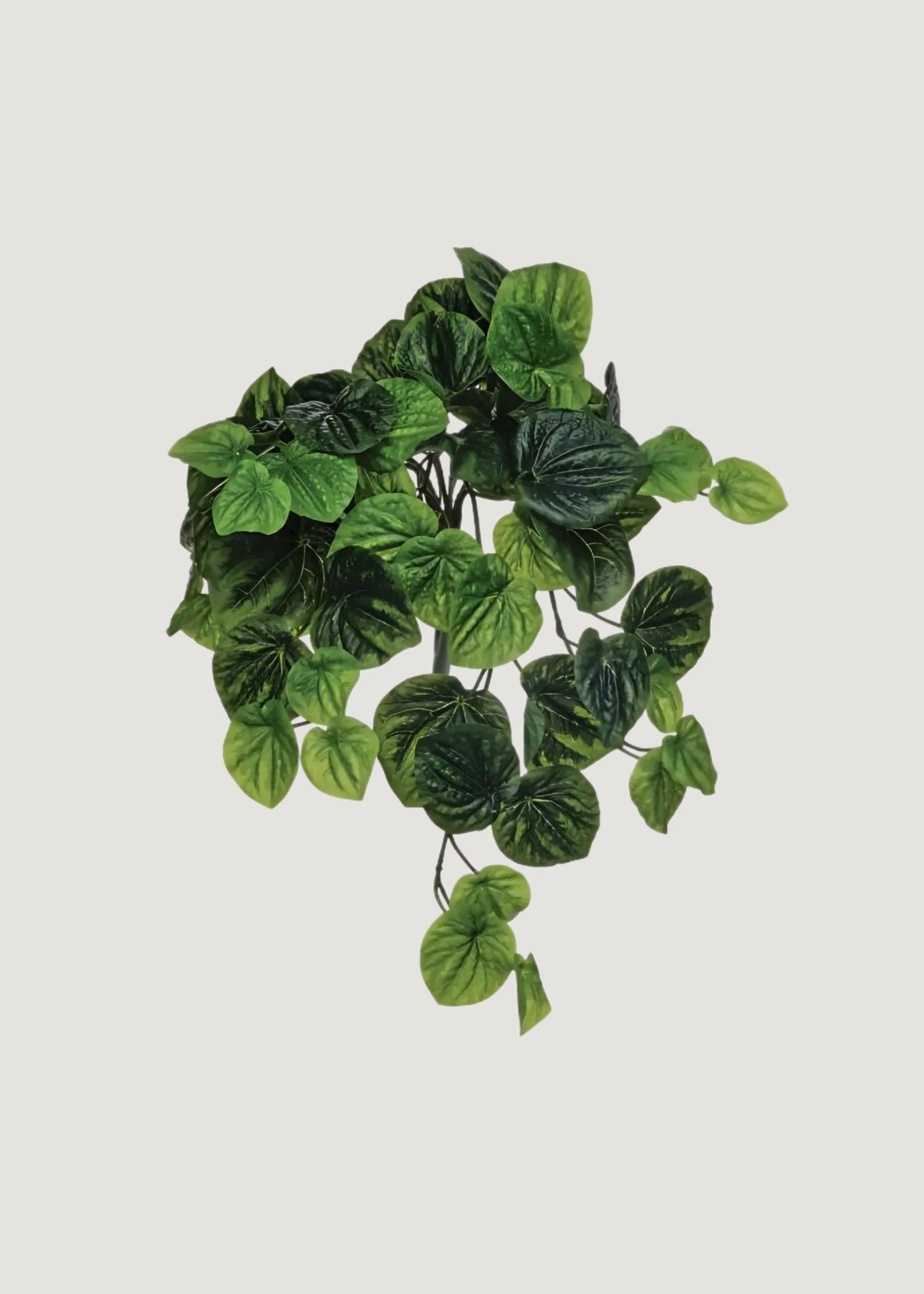 UV Treated Peperomia Fake Indoor/Outdoor Hanging Plant - 21"