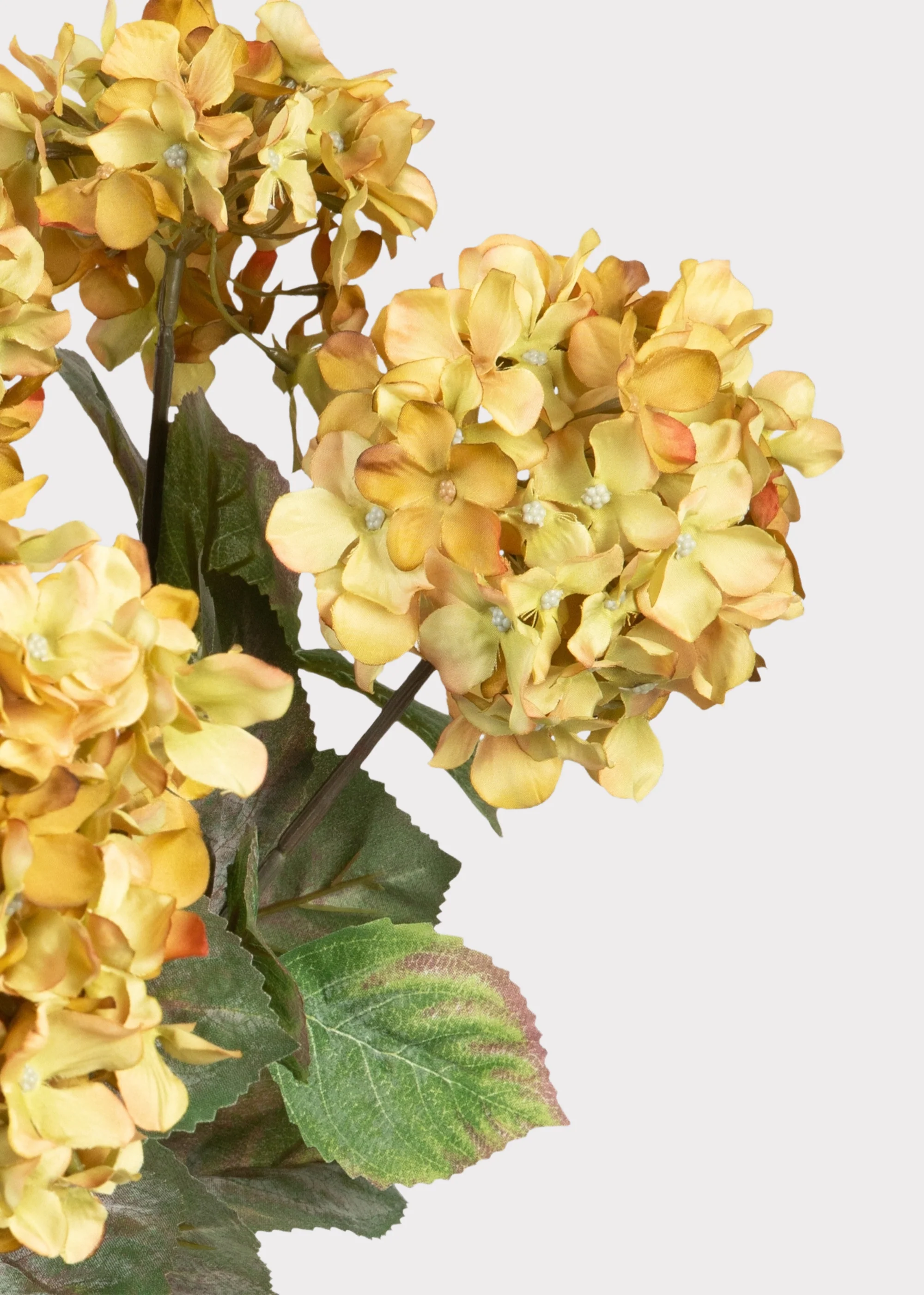 SAVE - Vintage Antique Green Fake Hydrangea Bush - 20" - Image 3