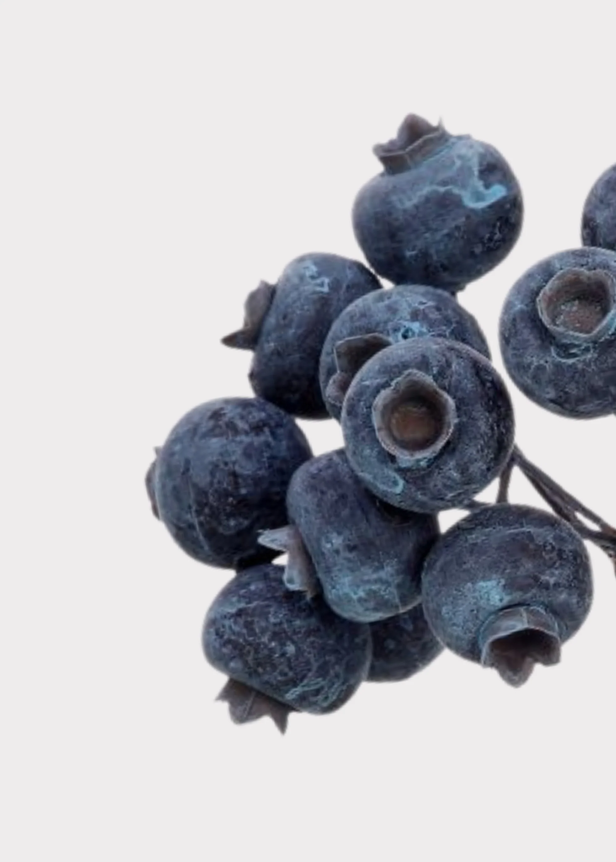 Waterproof Artificial Holiday Berry Pick in Blue - 9" - Image 2