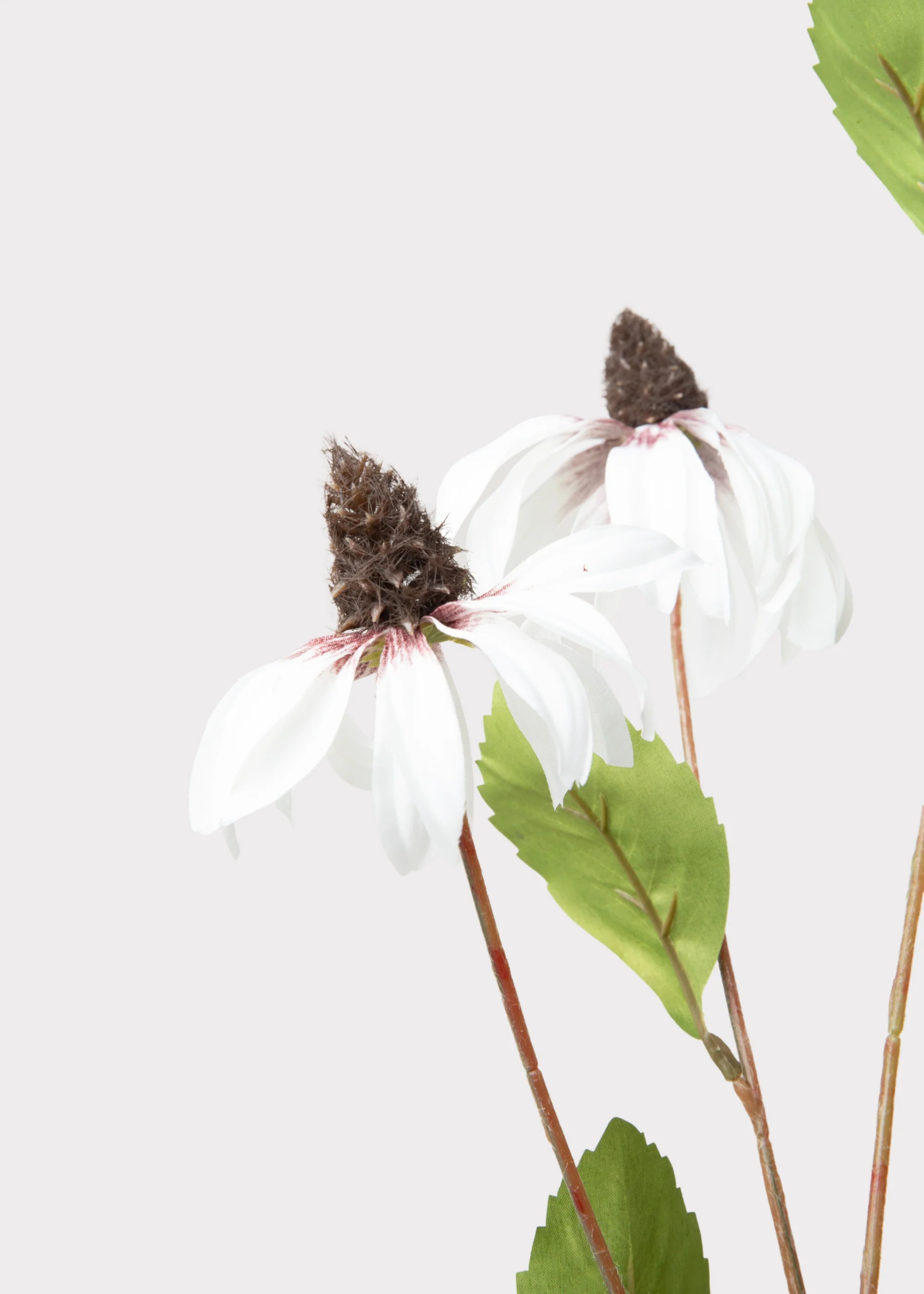 White Artificial Black-Eyed-Susan Wildflowers - 33" - Image 4