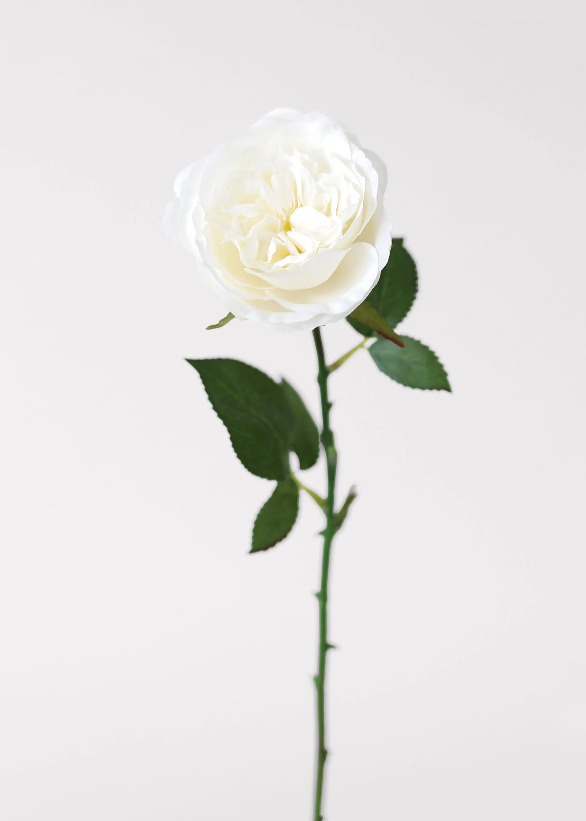 White Fake English Cabbage Rose - 20.5"