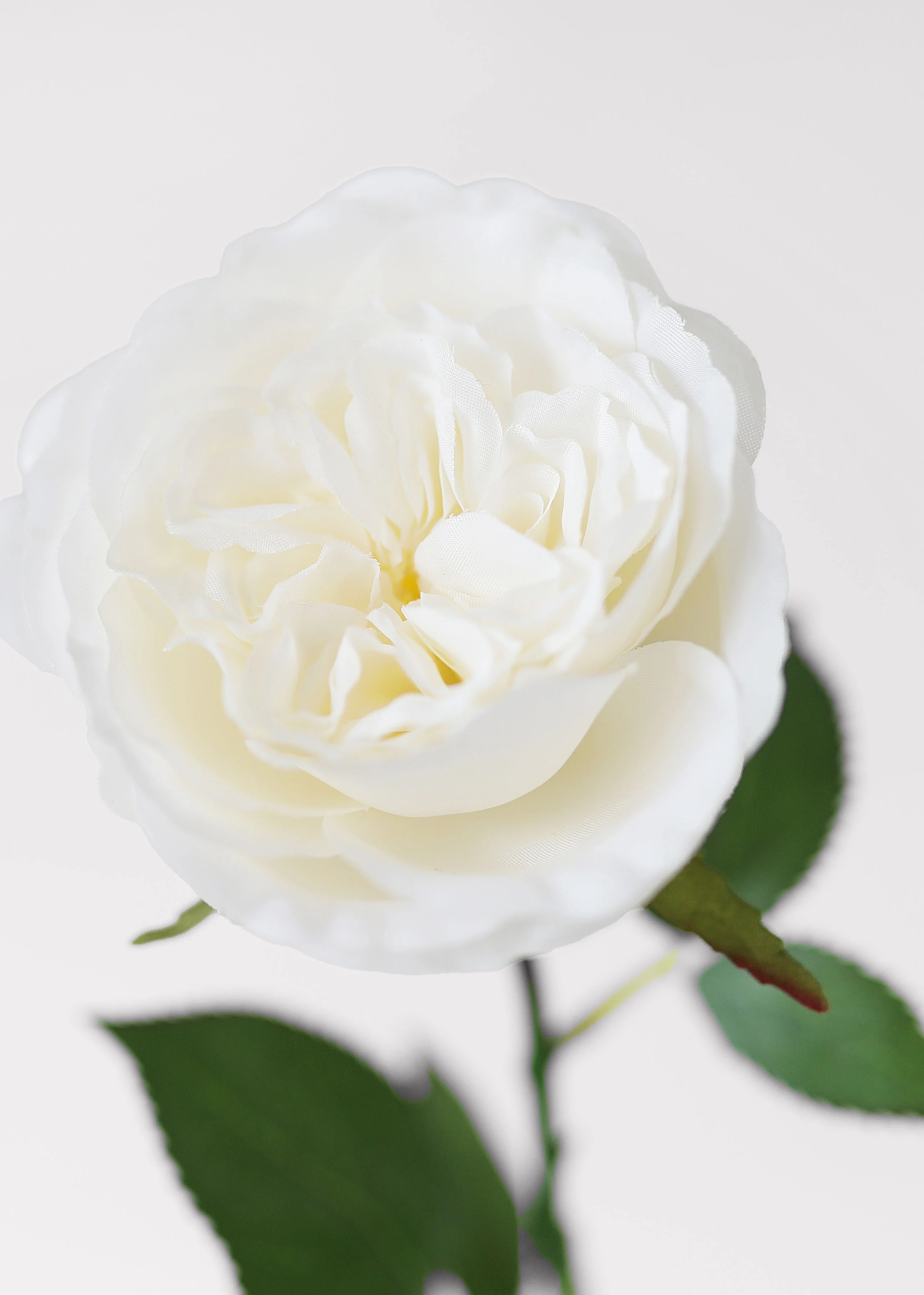 White Fake English Cabbage Rose - 20.5" - Image 4