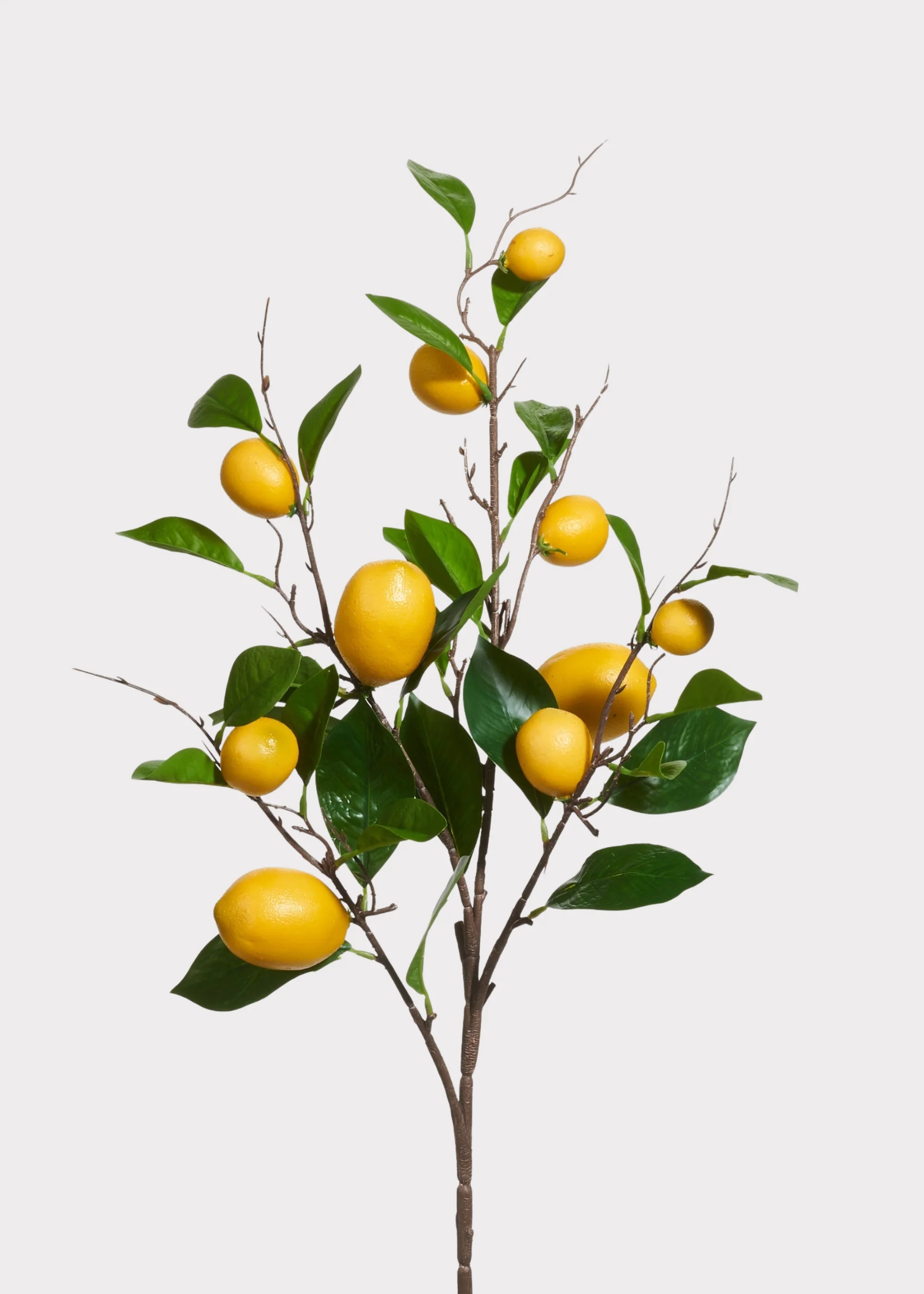 Fake Lemon Fruit Branch - 36"